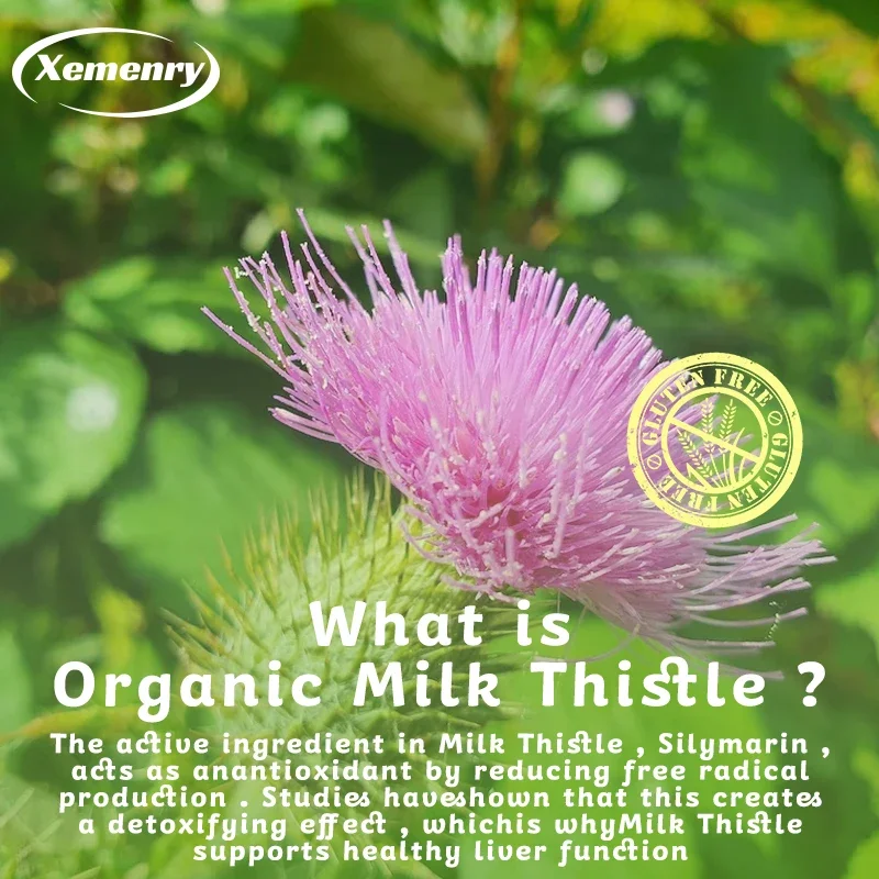 Капсулы для растопши 1000 мг — – обзор и цена Milk Thistle Silymarin